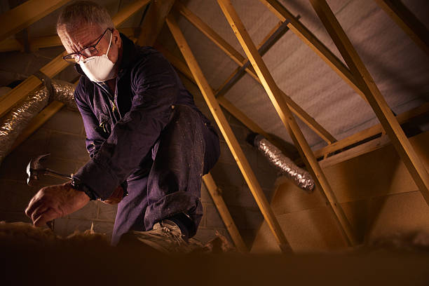 Best Residential Insulation in New Haven, MO